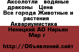 Аксолотли / водяные драконы › Цена ­ 500 - Все города Животные и растения » Аквариумистика   . Ненецкий АО,Нарьян-Мар г.